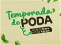 Radio Federal - Actualidad - COMIENZA LA TEMPORADA DE PODA: EL MUNICIPIO PROMUEVE LA PODA RESPONSABLE Y EL CUIDADO DEL ARBOLADO URBANO