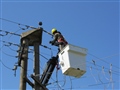 Radio Federal - Actualidad - COOPERTIVA ELECTRICADE BOLIVAR LTDA.