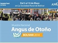 Radio Federal - Actualidad - Expo Angus en la Sociedad Rural de Bolívar