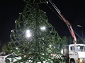 Radio Federal - Actualidad - EL MUNICIPIO SE PREPARA PARA ENCENDER LAS LUCES DEL ÁRBOL DE LOS SUEÑOS EN EL CENTRO CÍVICO