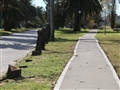 Radio Federal - Actualidad - SE ESTÁN REPONIENDO ÁRBOLES SECOS EN LA AVENIDA 25 DE MAYO