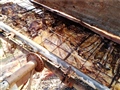 Radio Federal - Actualidad - Se Viene El 2º Concurso del Asado con Cuero