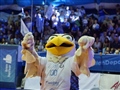 Radio Federal - Actualidad - Bolívar Vóley ya conoce el camino para la defensa de la Liga de Vóleibol Argentina