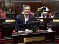 Radio Federal - Actualidad - LA REGULACIÓN PARA EL USO DE PIROTECNIA RECREATIVA EN LA PROVINCIA ES LEY