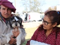 Radio Federal - Actualidad - CASTRACIONES MASIVAS EN PIROVANO Y URDAMPILLETA: MÁS DE 40 ANIMALES FUERON ESTERILIZADOS