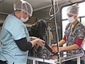 Radio Federal - Actualidad - CONTINÚAN LAS CASTRACIONES GRATUITAS EN DIFERENTES BARRIOS DE LA CIUDAD