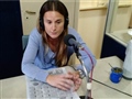 Radio Federal - Actualidad - Cómo alimentarse para correr