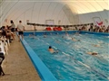 Radio Federal - Actualidad - LOS PROFESORES DEL NATATORIO PARTICIPARON DE UNA CLÍNICA DE NATACIÓN