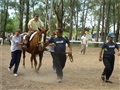 Radio Federal - Actualidad - Comenzaron las actividades de los CAEA de Bolívar, Urdampilleta y Pirovano