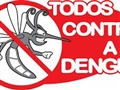 Radio Federal - Actualidad - Control del Mosquito por el Dengue desde el Municipio