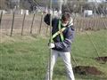 Radio Federal - Actualidad - LA DIRECCIÓN DE PAISAJES REALIZÓ UNA PLANTACIÓN DE ÁRBOLES EN URDAMPILLETA