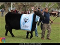 Radio Federal - Actualidad - LA EXPOSICION RURAL EN IMAGENES