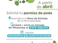 Radio Federal - Actualidad - EL MUNICIPIO INICIARÁ TAREAS DE PODA DEL ARBOLADO URBANO
