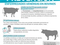 Radio Federal - Actualidad - CON TESTEOS SIN COSTO, ARRANCÓ LA SEGUNDA ETAPA DE LA CAMPAÑA DE PREVENCIÓN DE ETS EN BOVINOS