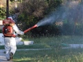 Radio Federal - Actualidad - La Municipalidad continúa el operativo de fumigación terrestre