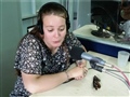 Radio Federal - Actualidad - Las Pelotas