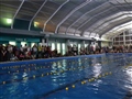 Radio Federal - Actualidad - Habrá una clínica de natación en el Natatorio Municipal
