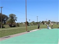 Radio Federal - Actualidad - LA MUNICIPALIDAD REACONDICIONA LOS PLAYONES DEPORTIVOS EN DIFERENTES PUNTOS DE LA CIUDAD