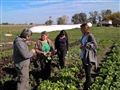 Radio Federal - Actualidad - Se realizó una visita a una huerta que forma parte de la Feria Verde