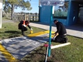 Radio Federal - Actualidad - SE ESTÁN COLOCANDO RAMPAS DE ACCESIBILIDAD EN EDIFICIOS PÚBLICOS