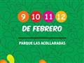 Radio Federal - Actualidad - CARNAVAL BOLÍVAR 2013