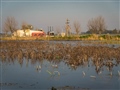 Radio Federal - Actualidad - Movilización de Productores Agropecuarios por los Caminos Rurales