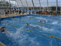 Radio Federal - Actualidad - 1ª Fecha del Torneo Federación del Oeste en Natación