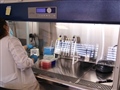 Radio Federal - Actualidad - Un Año del Laboratorio de Biología Molecular de Bolívar