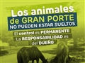 Radio Federal - Actualidad - HABLEMOS CLARO Y SIMPLE CONTROL PERMANENTE DE ANIMALES DE GRAN PORTE EN LA VÍA PÚBLICA