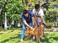 Radio Federal - Actualidad - LA DIRECCIÓN DE ZOONOSIS LLEVA ADELANTE UNA IMPORTANTE CAMPAÑA DE TENENCIA RESPONSABLE