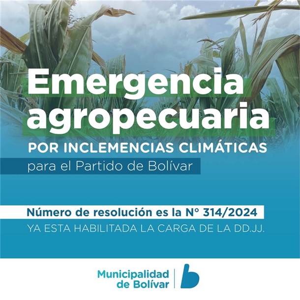 flyer emergencia