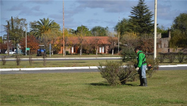 MANTENIMIENTO EN LA ROTONDA DE LA 226 02