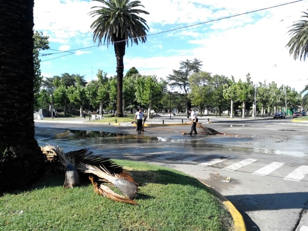 MUNICIPALIDAD RECORRIÓ LAS CALLES TRAS EL VIENTO Y LA LLUVIA