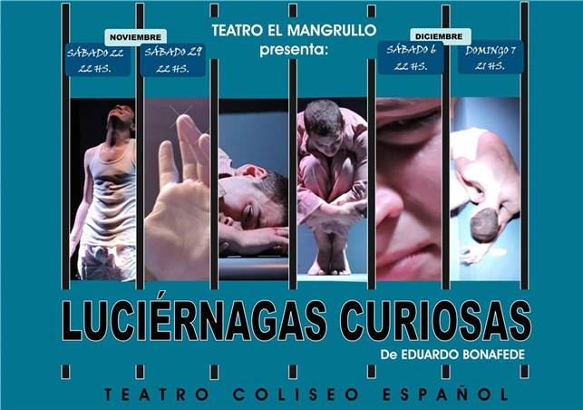 Luciérnagas Curiosas
