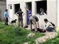 Radio Federal - Actualidad - Castración de perras en Bº Villa Diamante