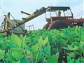 Radio Federal - Actualidad - Revaluo Inmobiliario Rural