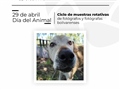 Radio Federal - Actualidad - TENENCIA RESPONSABLE: NUEVA MUESTRA FOTOGRÁFICA POR EL DÍA DEL ANIMAL