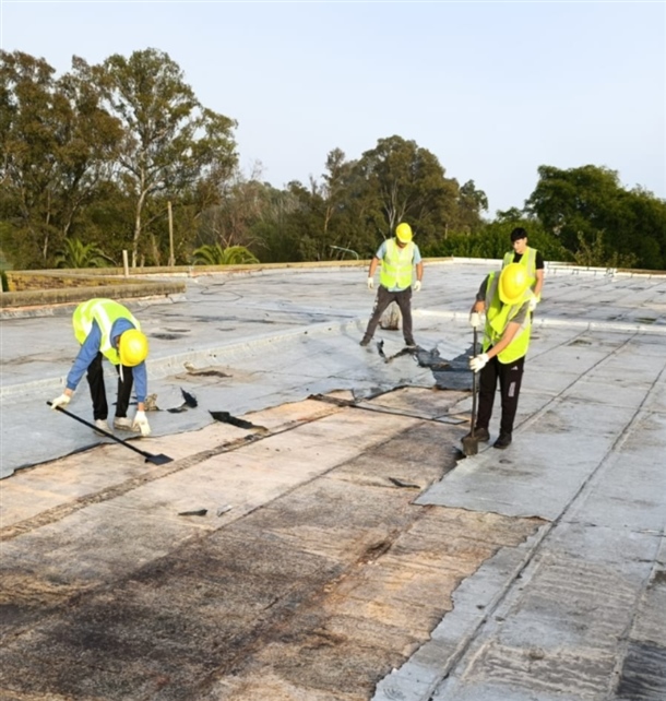 WhatsApp Image 2026-03-03 at 13.25.49