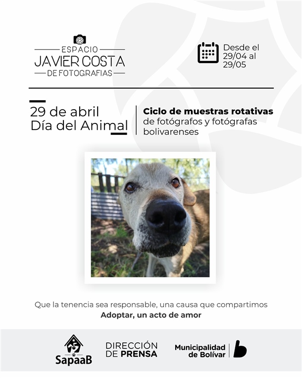 flyer muestra