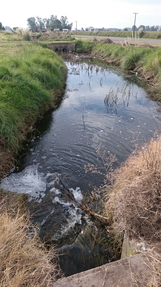 LIMPIEZA EN LOS CANALES DE URDAMPILLETA 01