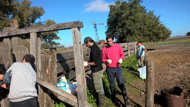 MUNICIPIO BUSCA MEJORAR LA CALIDAD DE PRODUCCIÓN DE LOS TAMBOS 02