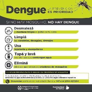 DENGUE